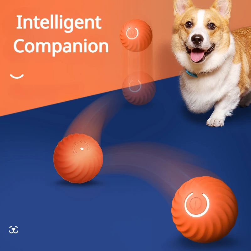 SmartPaws Interactive Bounce Ball