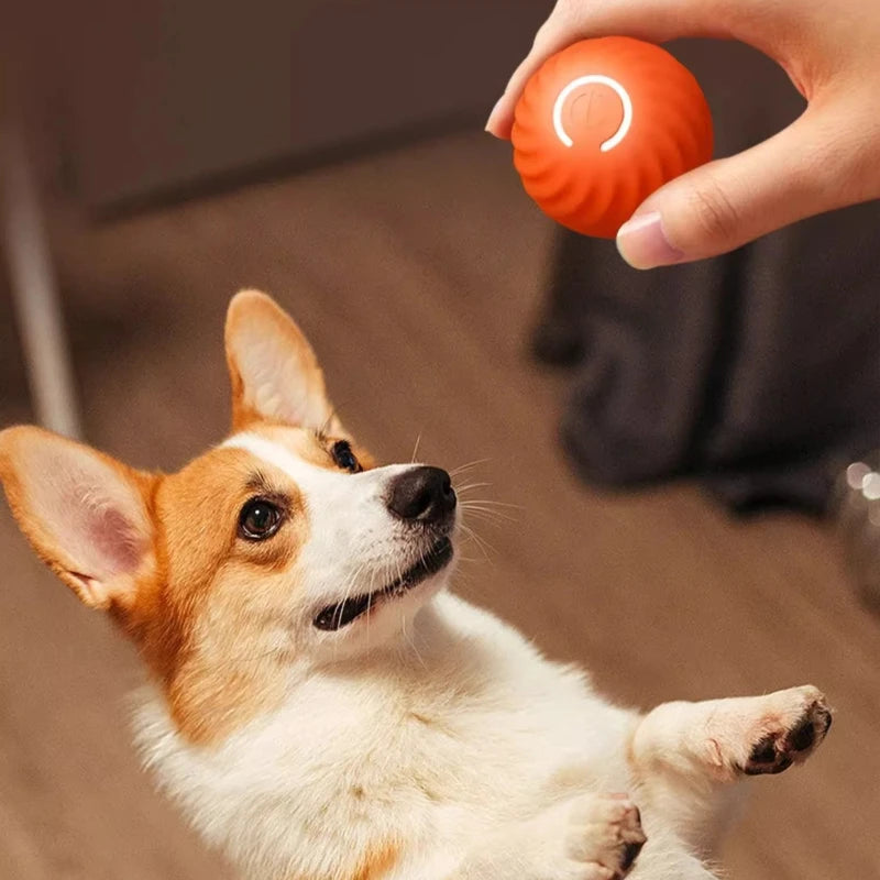 SmartPaws Interactive Bounce Ball