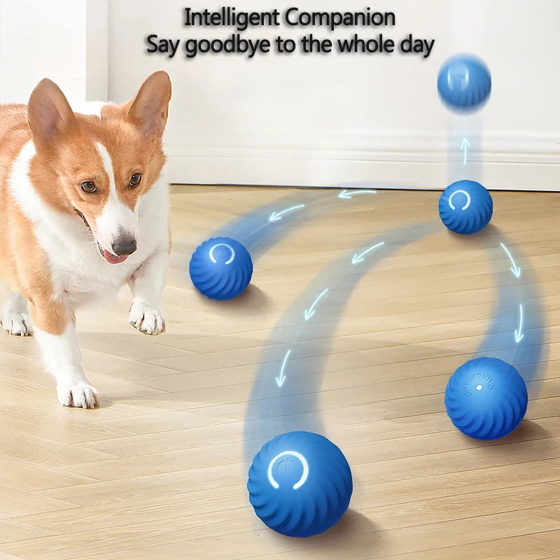 SmartPaws Interactive Bounce Ball