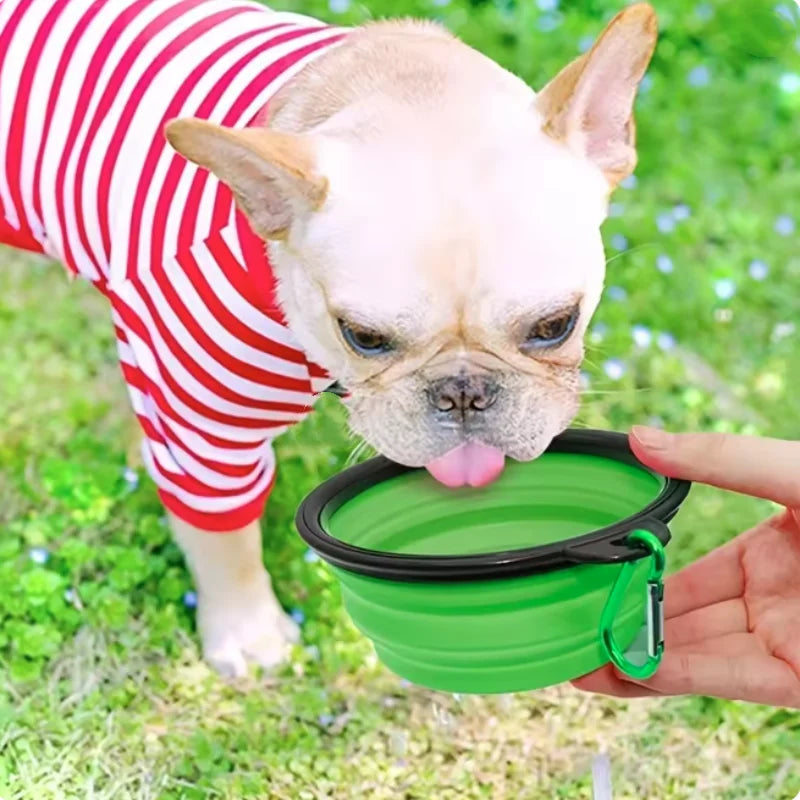 Portable Collapsible Pet Travel Bowl